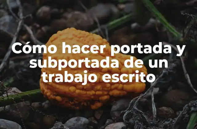 Cómo Hacer Portada y Subportada de un Trabajo Escrito