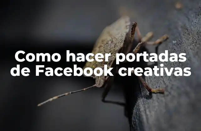 Como Hacer Portadas de Facebook Creativas