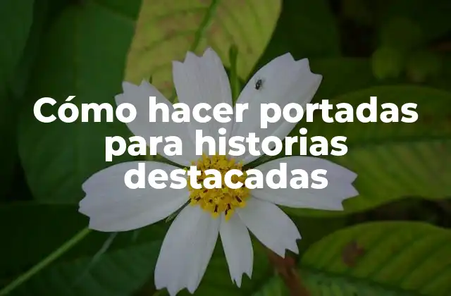 Cómo Hacer Portadas para Historias Destacadas
