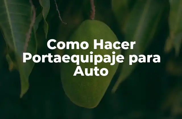 Como Hacer Portaequipaje para Auto