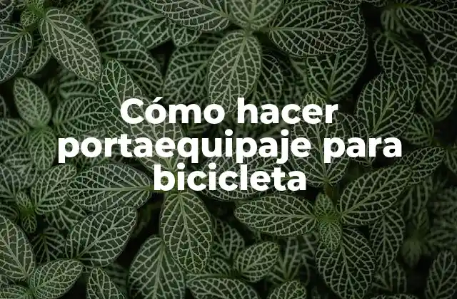 Cómo Hacer Portaequipaje para Bicicleta