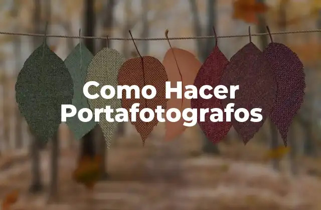 ¿Qué es un Portafotografos?