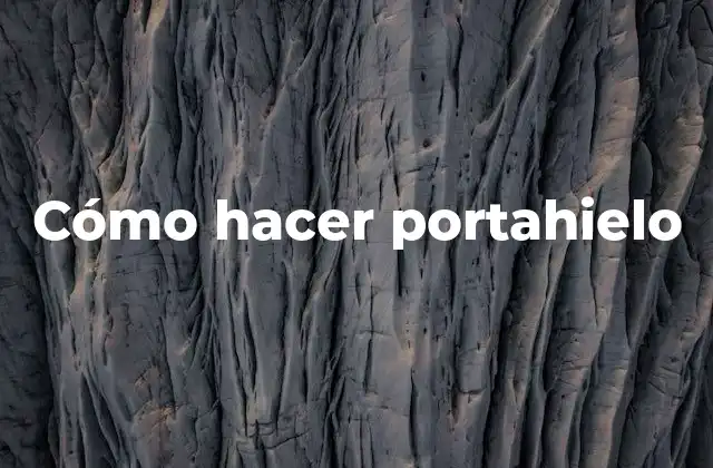 Cómo Hacer Portahielo