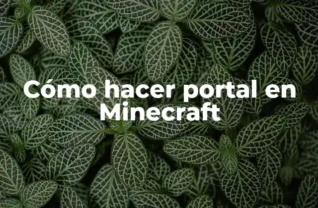 Cómo Hacer Portal en Minecraft
