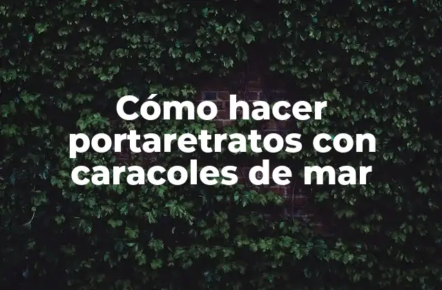 Cómo Hacer Portaretratos con Caracoles de Mar