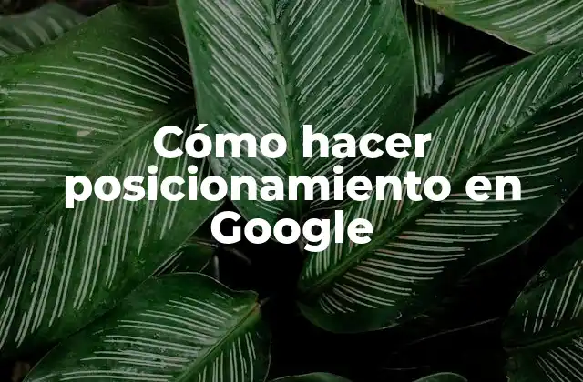 Cómo Hacer Posicionamiento en Google