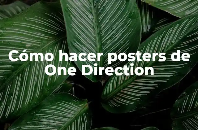 Cómo Hacer Posters de One Direction