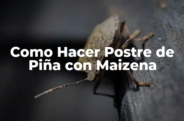 Como Hacer Postre de Piña con Maizena 2 ¿Qué es el Postre de Piña con Maizena?
