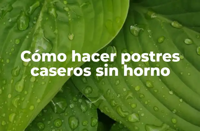 Cómo Hacer Postres Caseros sin Horno