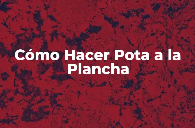Cómo Hacer Pota a la Plancha