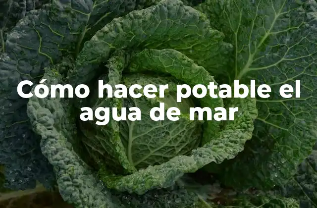 Cómo Hacer Potable el Agua de Mar