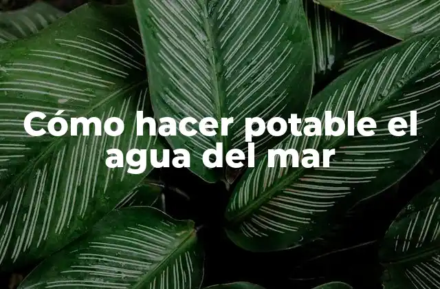 Cómo Hacer Potable el Agua Del Mar