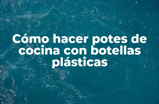 Cómo Hacer Potes de Cocina con Botellas Plásticas