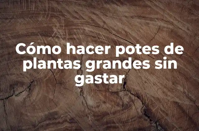 Cómo Hacer Potes de Plantas Grandes sin Gastar