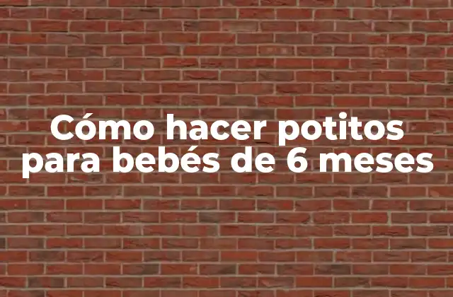 Cómo Hacer Potitos para Bebés de 6 Meses
