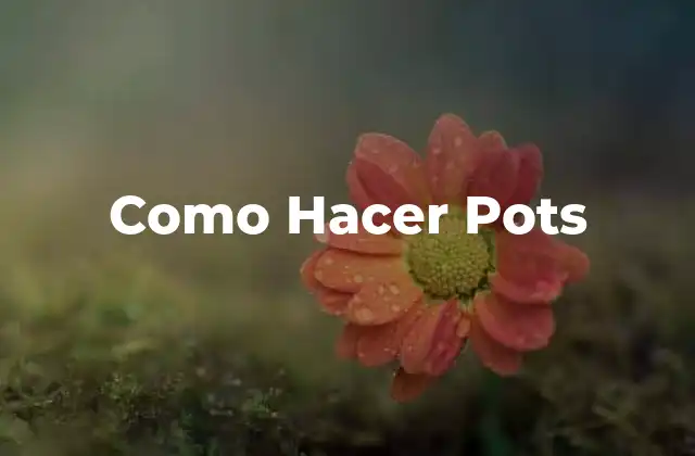Como Hacer Pots