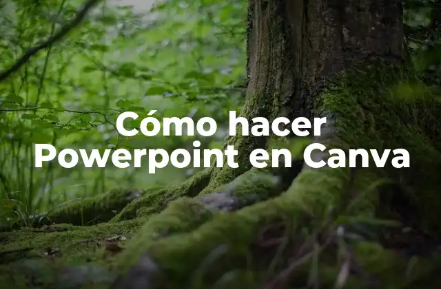 Cómo Hacer Powerpoint en Canva