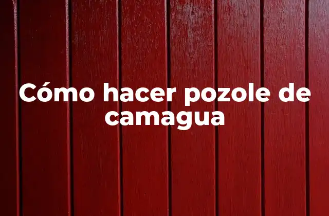 ¿Qué es el pozole de camagua?