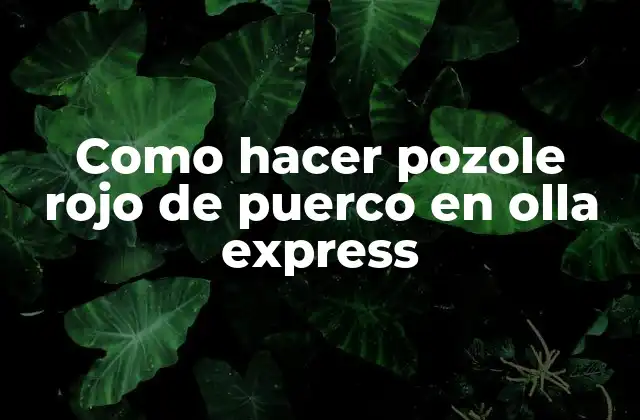 Como Hacer Pozole Rojo de Puerco en Olla Express