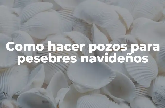 ¿Qué son los pozos para pesebres navideños?