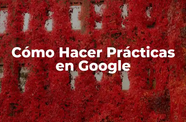 Cómo Hacer Prácticas en Google