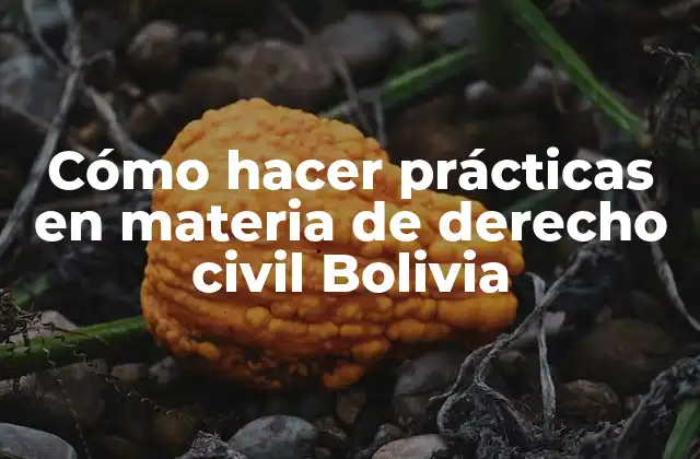 Cómo Hacer Prácticas en Materia de Derecho Civil Bolivia