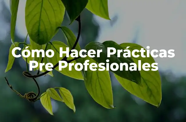 Cómo Hacer Prácticas Pre Profesionales