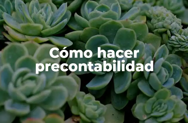 Cómo Hacer Precontabilidad