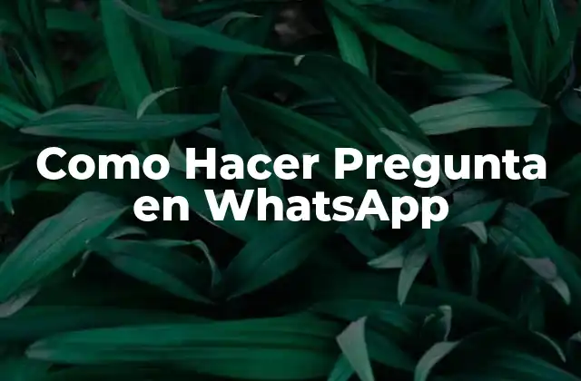 Como Hacer Pregunta en WhatsApp