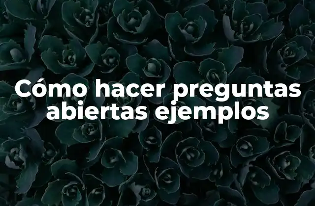 Cómo Hacer Preguntas Abiertas Ejemplos