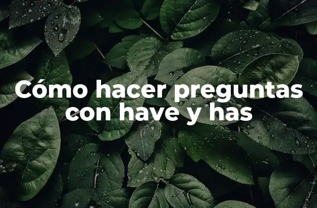 Cómo Hacer Preguntas con Have y Has