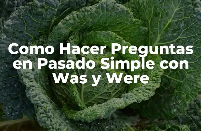 ¿Qué son Was y Were y para Qué Sirven en Preguntas en Pasado Simple?