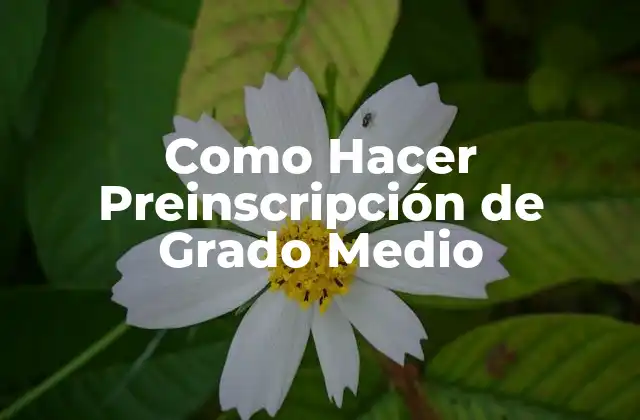Como Hacer Preinscripción de Grado Medio