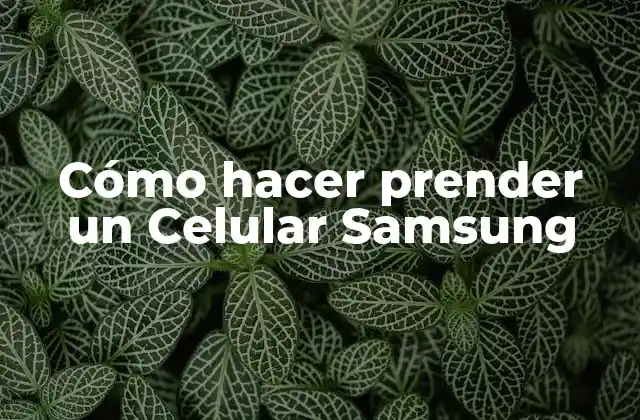 Cómo Hacer Prender un Celular Samsung 2 ¿Qué es necesario para encender un Celular Samsung?