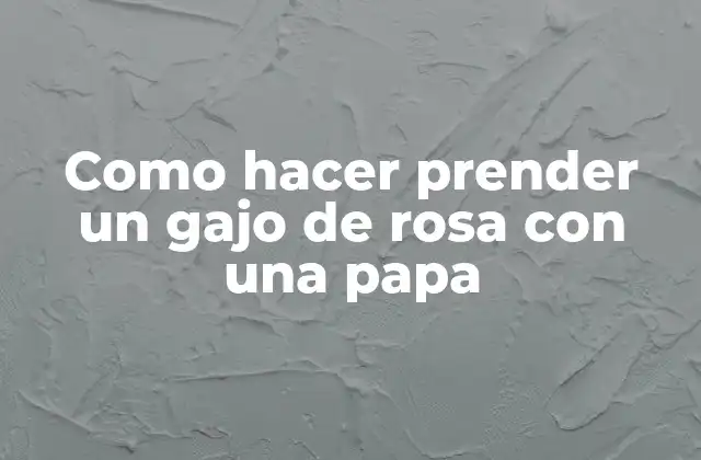 Como Hacer Prender un Gajo de Rosa con una Papa