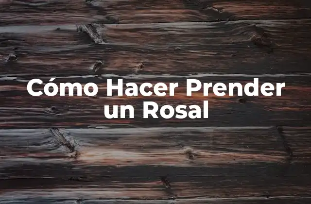 Cómo Hacer Prender un Rosal