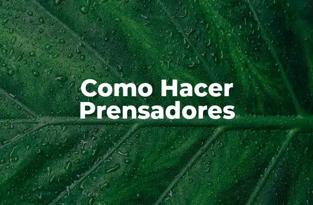 Como Hacer Prensadores