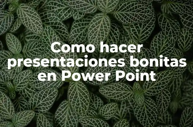 Como hacer presentaciones bonitas en Power Point