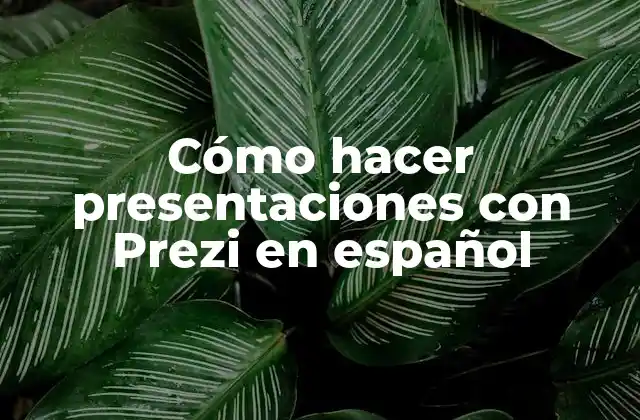 Cómo Hacer Presentaciones con Prezi en Español 2 Cómo hacer presentaciones con Prezi en español