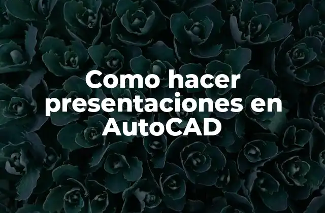 Como Hacer Presentaciones en Autocad