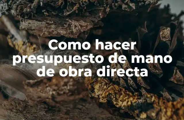 Como Hacer Presupuesto de Mano de Obra Directa