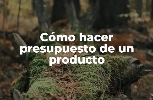 Cómo Hacer Presupuesto de un Producto