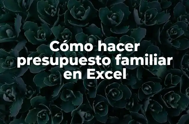 Cómo Hacer Presupuesto Familiar en Excel