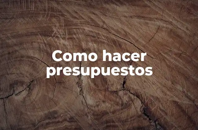 Como hacer presupuestos