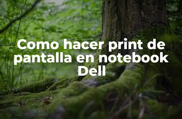 Como Hacer Print de Pantalla en Notebook Dell