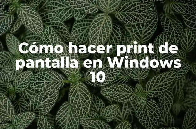 Cómo Hacer Print de Pantalla en Windows 10