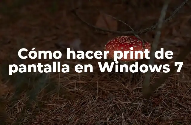 Cómo Hacer Print de Pantalla en Windows 7