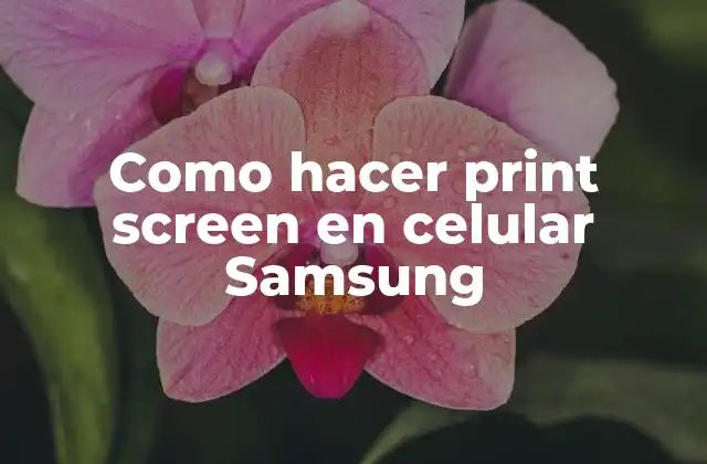 Como Hacer Print Screen en Celular Samsung