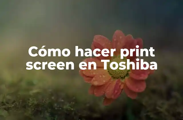 ¿Qué es el botón de Print Screen y para qué sirve?