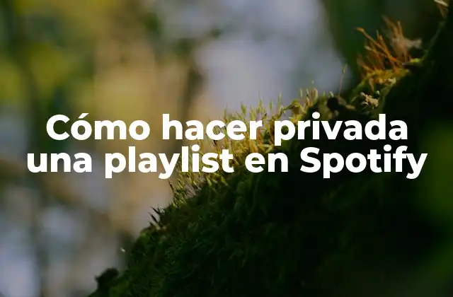 Cómo Hacer Privada una Playlist en Spotify 2 Cómo hacer privada una playlist en Spotify